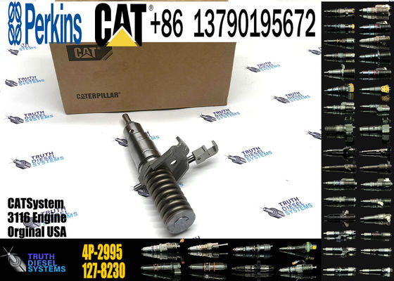 Fuel Injector 162-0212 162-0218 418-8820 0R-8461 0R-8469 0R-8465 0R-3742 0R-8463  4P-2995 For CAT  3 116