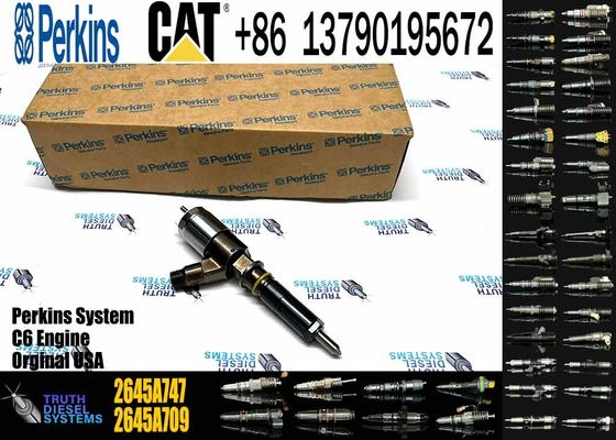 Fuel Injector 2645A745 PK2645A717 2645A733 320-0670 2923770 306-9370 3101852 10R-7670 for CAR Caterpillar Perkins C6.6 1106D