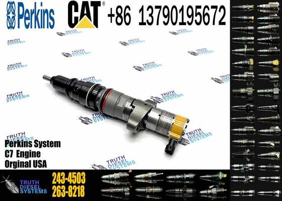 Diesel Engine C7 C9 Fuel Injector 243-4503 2434503 295-1409 2951409