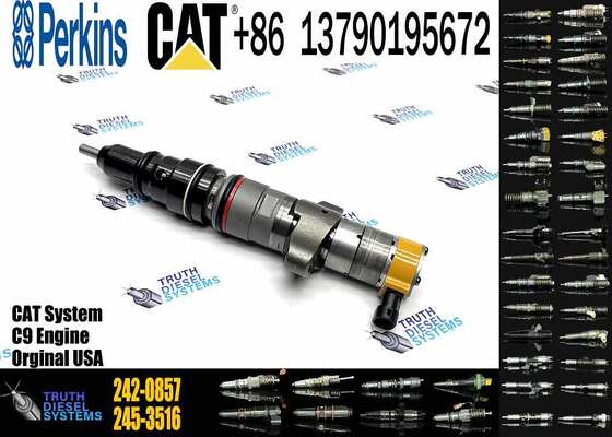 Excavator Accessories Fuel Injector 225-0117 236-0957 238-8092 240-8063 242-0857 245-3516 for CAT C9 Construction Machinery