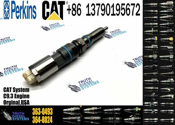 Excavator Accessories Fast Delivery Fuel Injector 20R5036 456-3493 363-0493 for Caterpillar C9.3 Diesel Engine Spare Parts