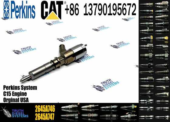 Quality Common Rail Fuel Injector 320-0677 2645A746 10R-7671 2645A738 3200677 3069377 Engine Fuel Injector for Engine 320D C4.4
